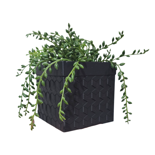 Grimaldi Pot - Black