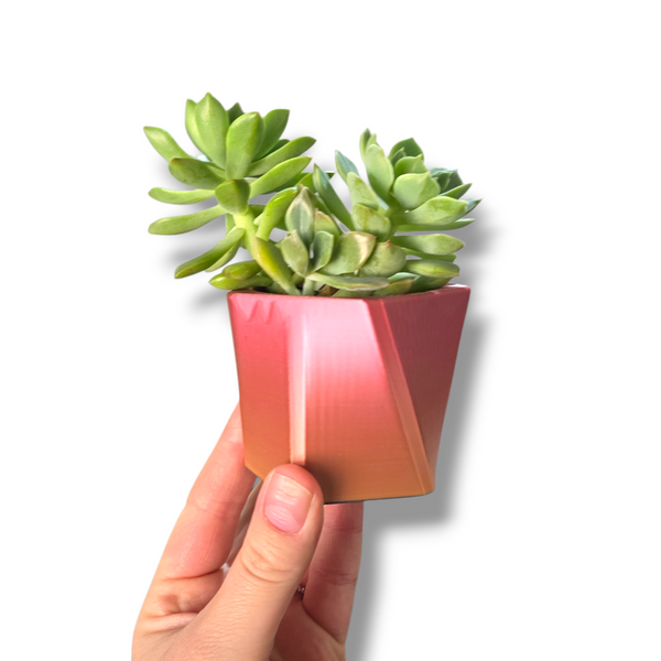 Small Plato Pot - Silk Pink/Orange